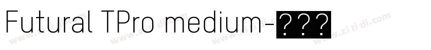 Futural TPro medium字体转换